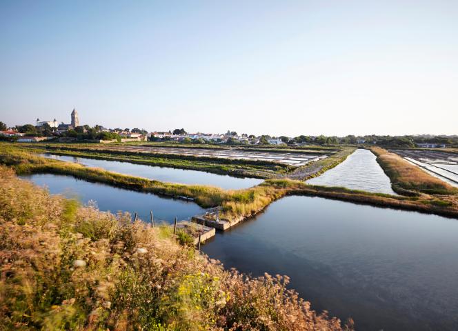 Culture locale noirmoutier