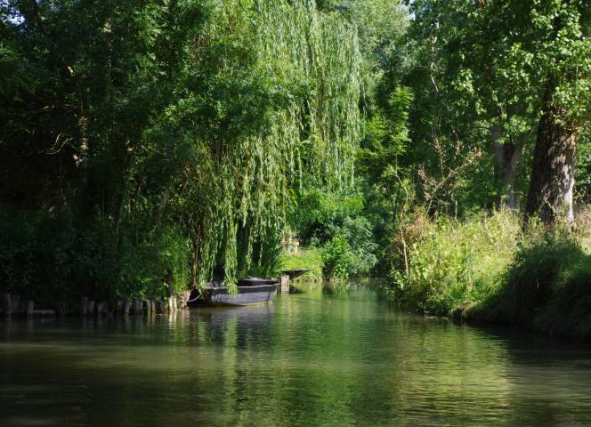 marais-poitevin