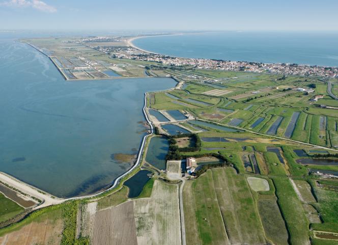 La Guérinière ile de noirmoutier 