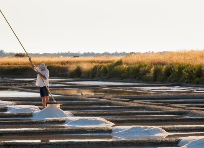 marais salants ile de noirmoutier