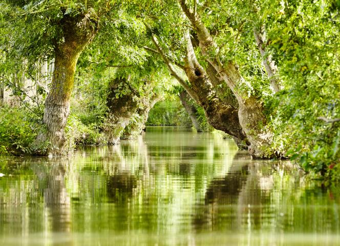 marais-vendeen