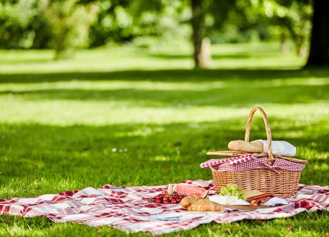 picnic nappe sur herbe - parc-bretonnieres
