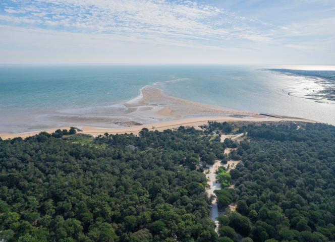 plage trousse chemise île de ré