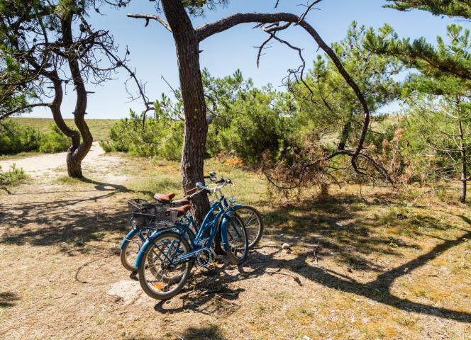 velo vacances ile de noirmoutier