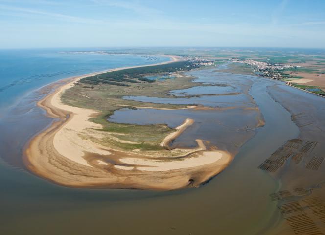 Pointe du Payré en Vendée