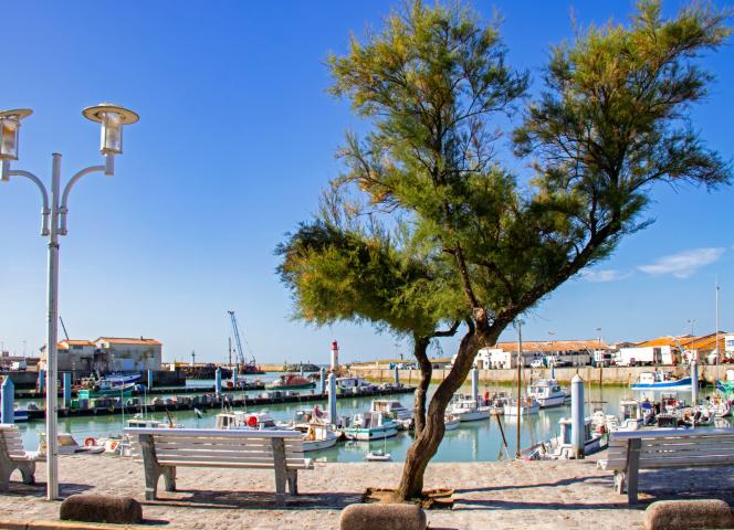 Port de la Cotinière Ile d'Oléron