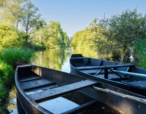 Marais de la Brière