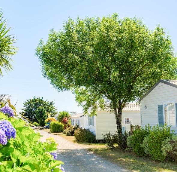 camping baie d'audierne